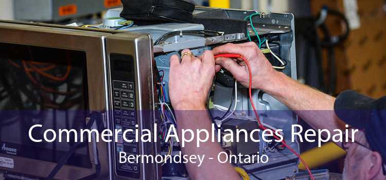 Commercial Appliances Repair Bermondsey - Ontario