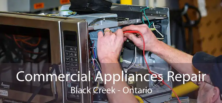 Commercial Appliances Repair Black Creek - Ontario