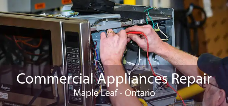 Commercial Appliances Repair Maple Leaf - Ontario