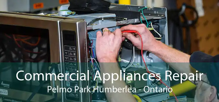 Commercial Appliances Repair Pelmo Park Humberlea - Ontario
