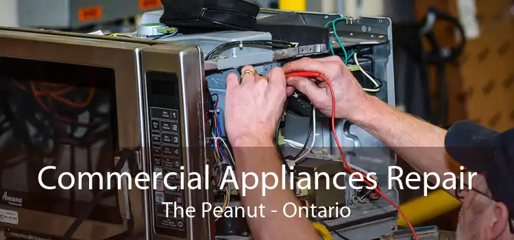 Commercial Appliances Repair The Peanut - Ontario