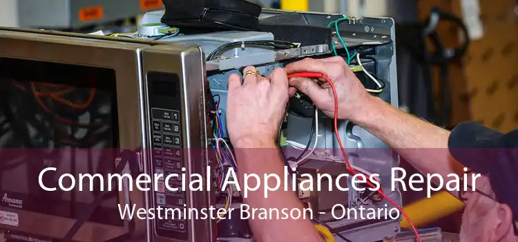 Commercial Appliances Repair Westminster Branson - Ontario