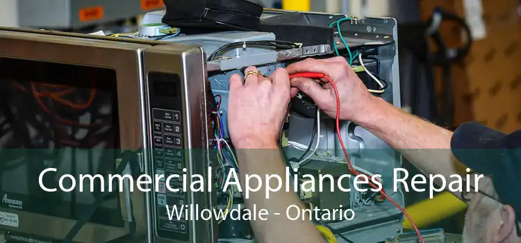 Commercial Appliances Repair Willowdale - Ontario