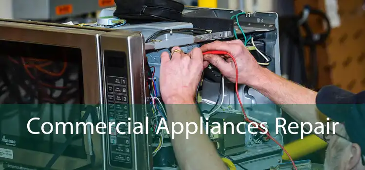 Commercial Appliances Repair 