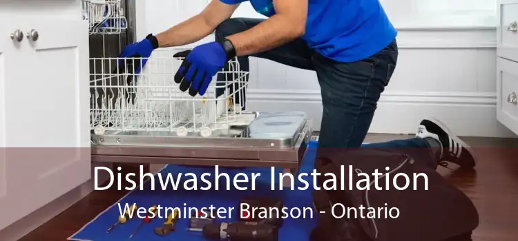 Dishwasher Installation Westminster Branson - Ontario