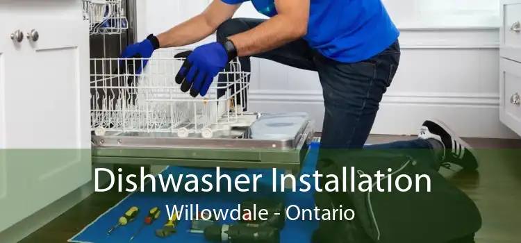 Dishwasher Installation Willowdale - Ontario