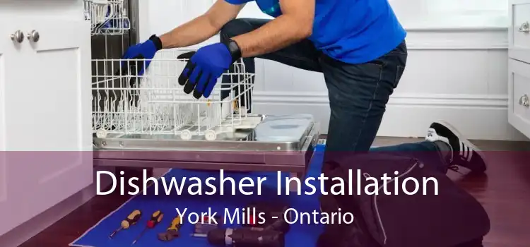 Dishwasher Installation York Mills - Ontario