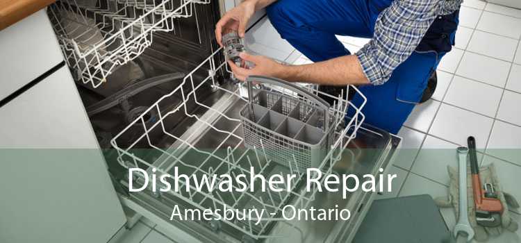 Dishwasher Repair Amesbury - Ontario