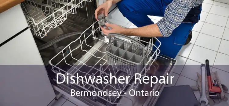 Dishwasher Repair Bermondsey - Ontario
