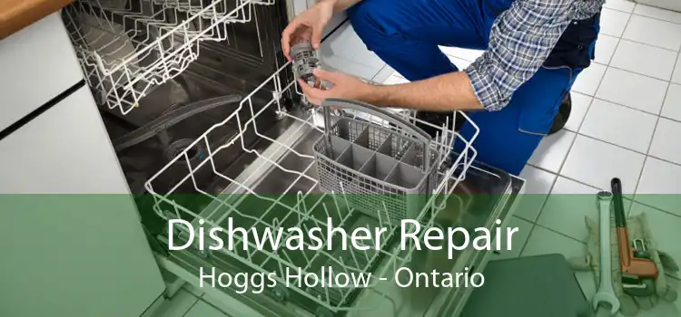 Dishwasher Repair Hoggs Hollow - Ontario