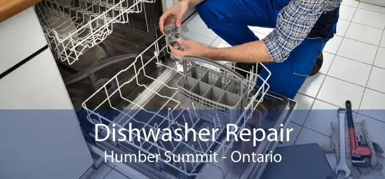 Dishwasher Repair Humber Summit - Ontario