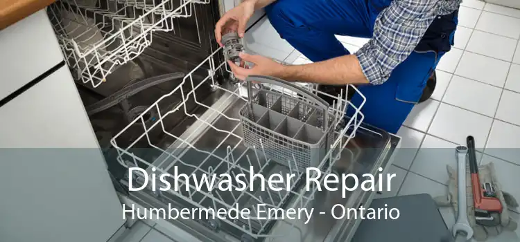 Dishwasher Repair Humbermede Emery - Ontario