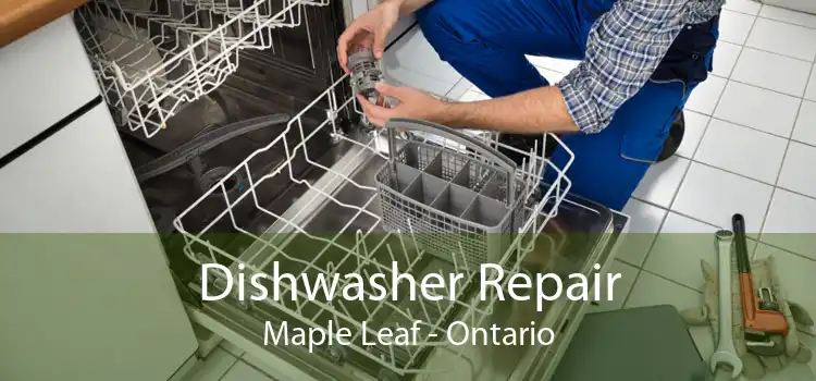 Dishwasher Repair Maple Leaf - Ontario