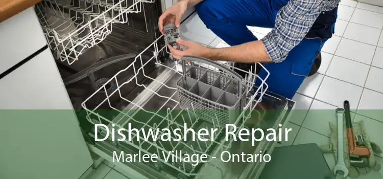 Dishwasher Repair Marlee Village - Ontario