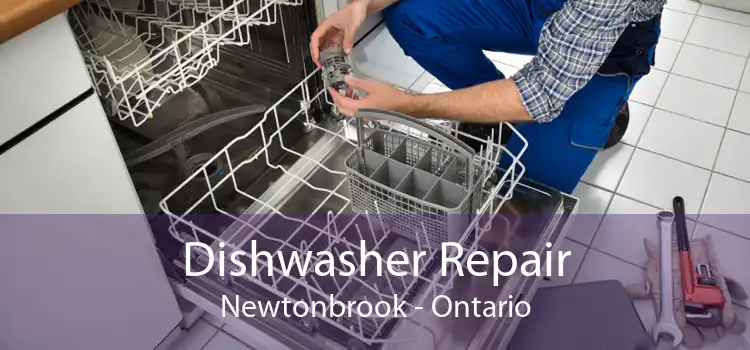 Dishwasher Repair Newtonbrook - Ontario