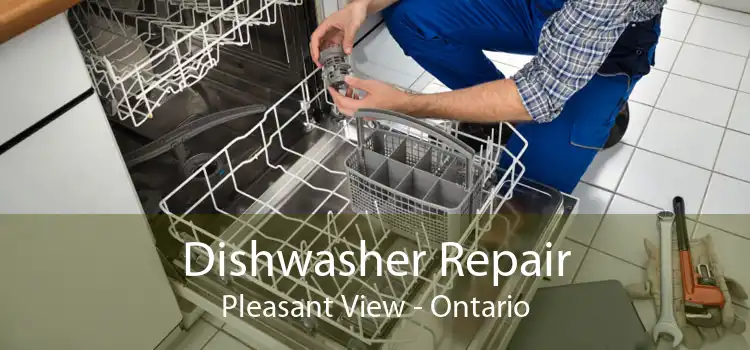 Dishwasher Repair Pleasant View - Ontario