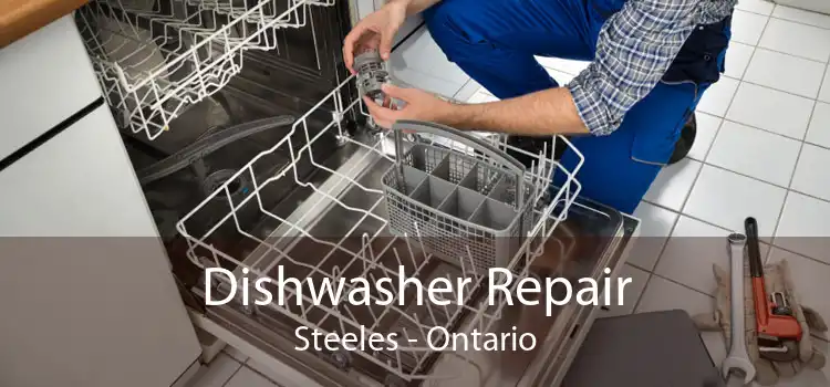 Dishwasher Repair Steeles - Ontario