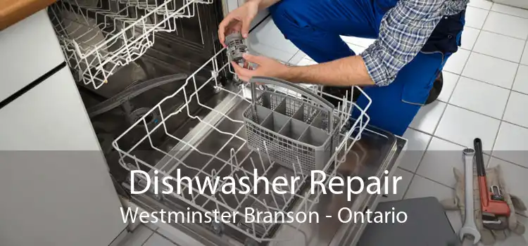 Dishwasher Repair Westminster Branson - Ontario