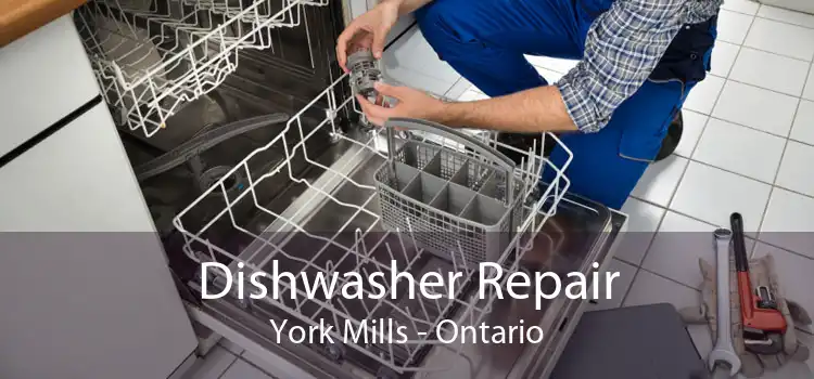 Dishwasher Repair York Mills - Ontario