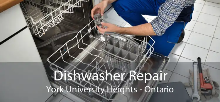 Dishwasher Repair York University Heights - Ontario