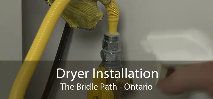 Dryer Installation The Bridle Path - Ontario