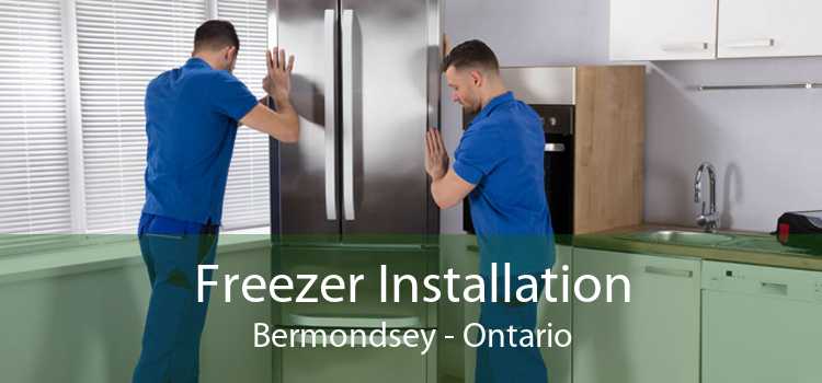 Freezer Installation Bermondsey - Ontario