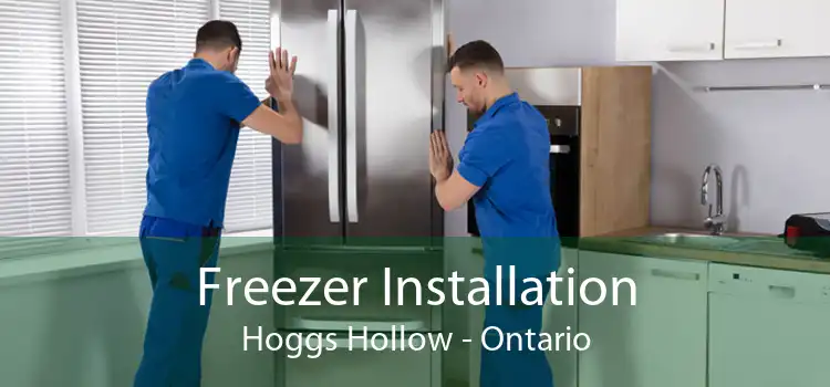 Freezer Installation Hoggs Hollow - Ontario