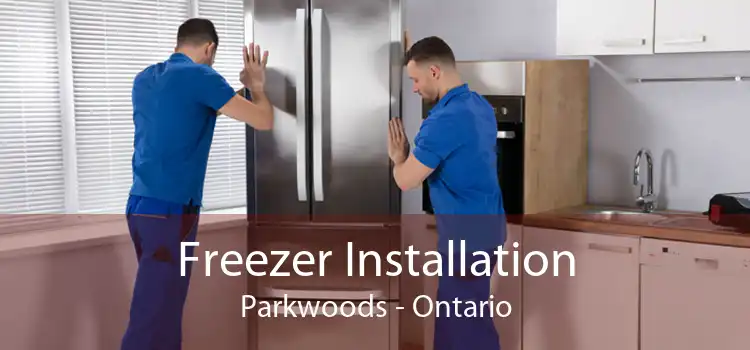 Freezer Installation Parkwoods - Ontario