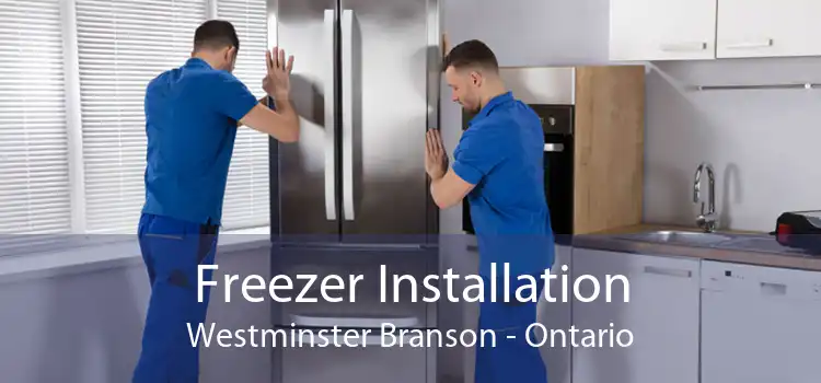 Freezer Installation Westminster Branson - Ontario