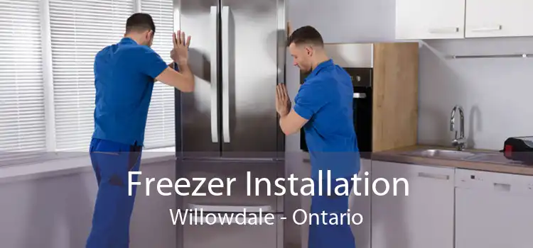 Freezer Installation Willowdale - Ontario