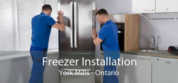 Freezer Installation York Mills - Ontario