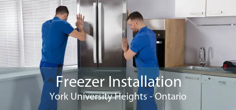 Freezer Installation York University Heights - Ontario