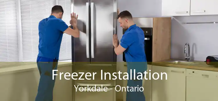 Freezer Installation Yorkdale - Ontario