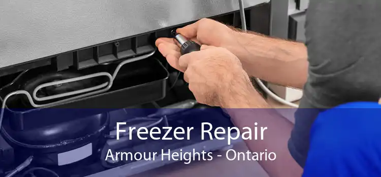 Freezer Repair Armour Heights - Ontario