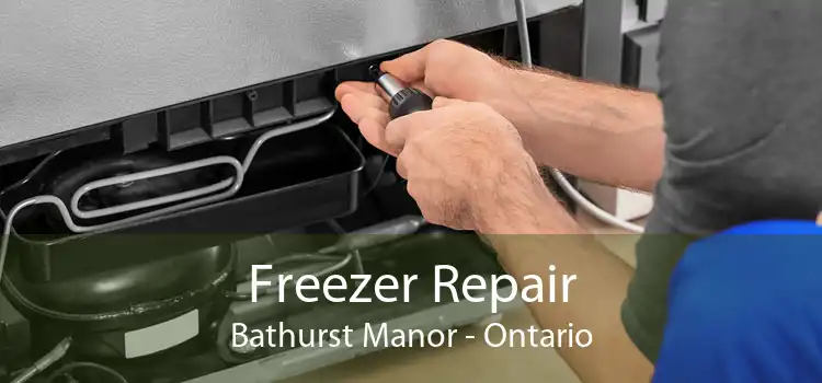 Freezer Repair Bathurst Manor - Ontario