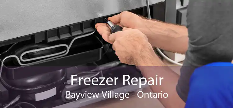 Freezer Repair Bayview Village - Ontario