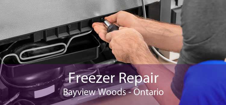 Freezer Repair Bayview Woods - Ontario