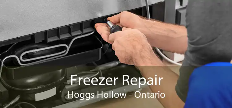 Freezer Repair Hoggs Hollow - Ontario