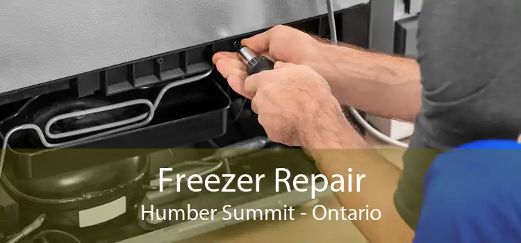 Freezer Repair Humber Summit - Ontario