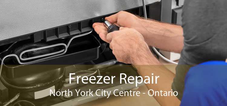 Freezer Repair North York City Centre - Ontario