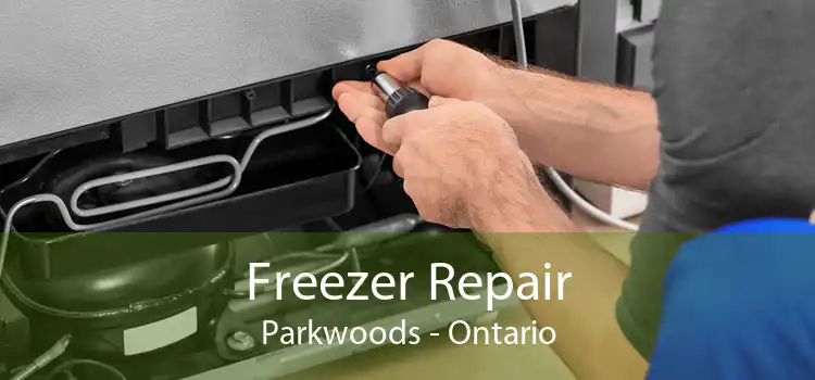 Freezer Repair Parkwoods - Ontario