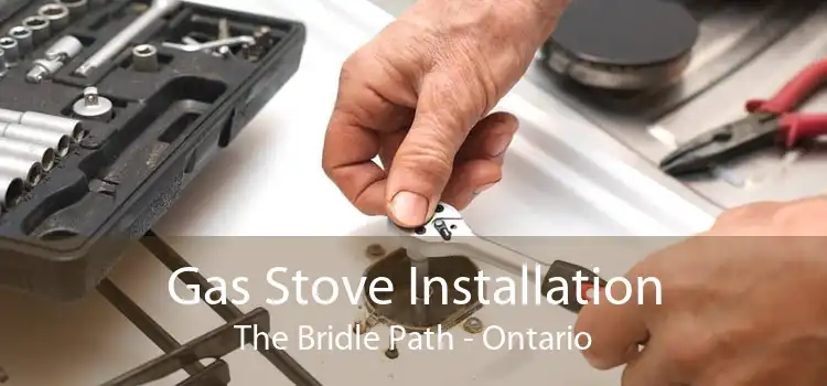 Gas Stove Installation The Bridle Path - Ontario