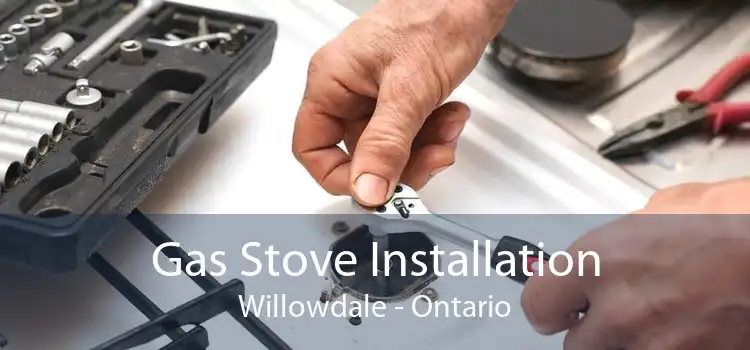 Gas Stove Installation Willowdale - Ontario