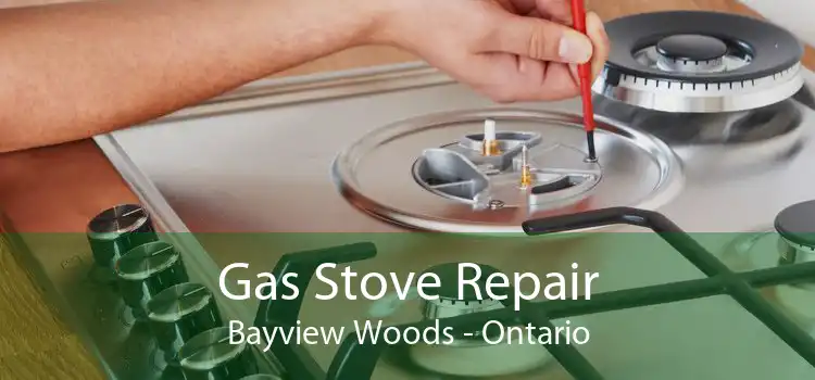 Gas Stove Repair Bayview Woods - Ontario
