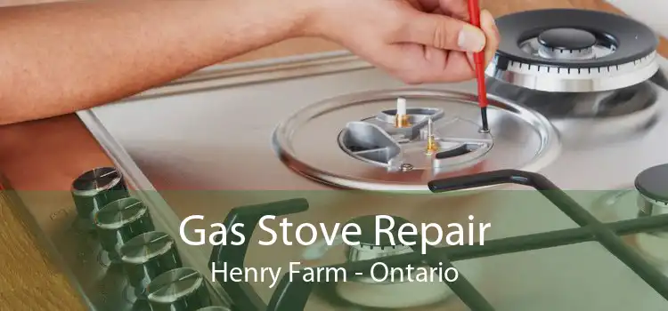 Gas Stove Repair Henry Farm - Ontario
