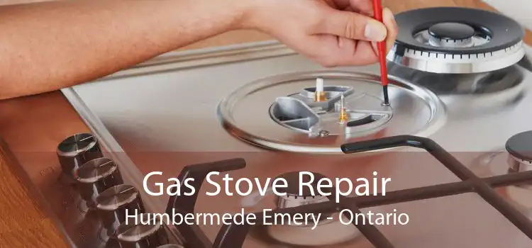 Gas Stove Repair Humbermede Emery - Ontario