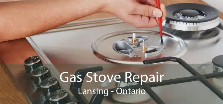 Gas Stove Repair Lansing - Ontario