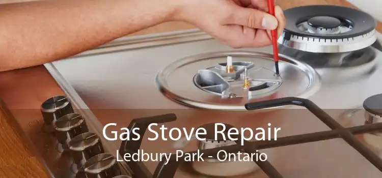 Gas Stove Repair Ledbury Park - Ontario