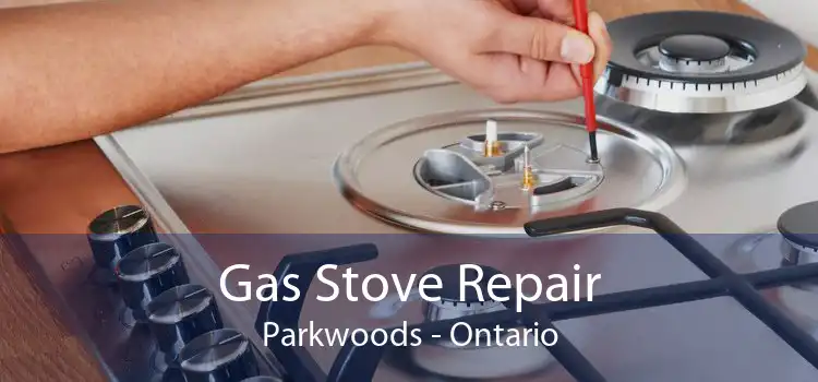 Gas Stove Repair Parkwoods - Ontario