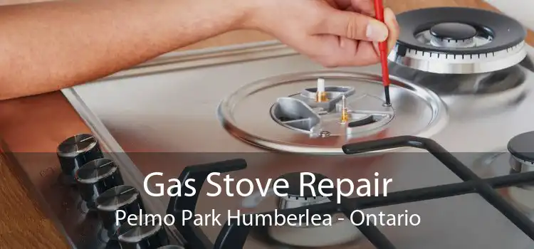 Gas Stove Repair Pelmo Park Humberlea - Ontario